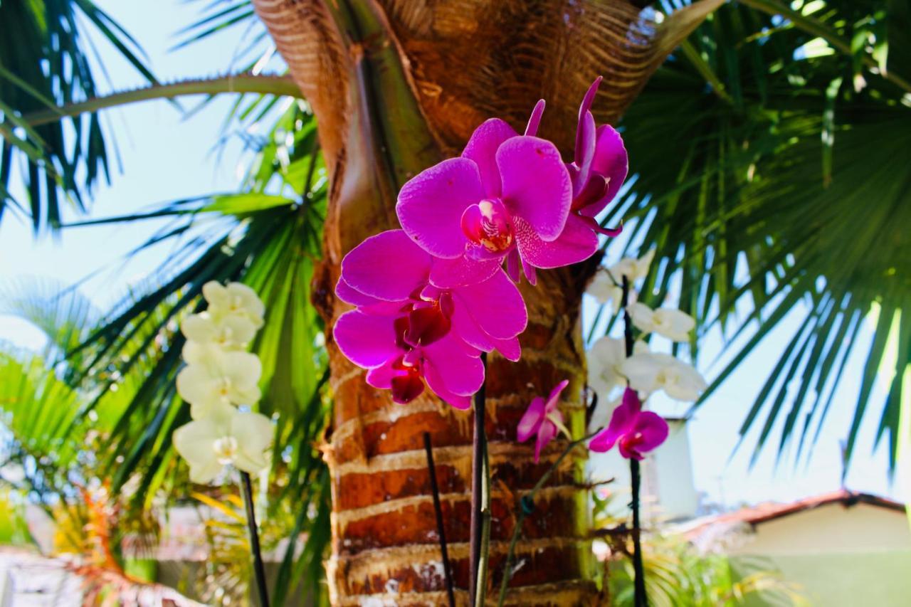 Pousada O Caribe De Maragogi Ngoại thất bức ảnh